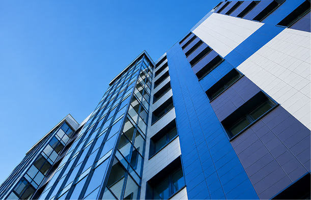 Real Estate Digital Growth